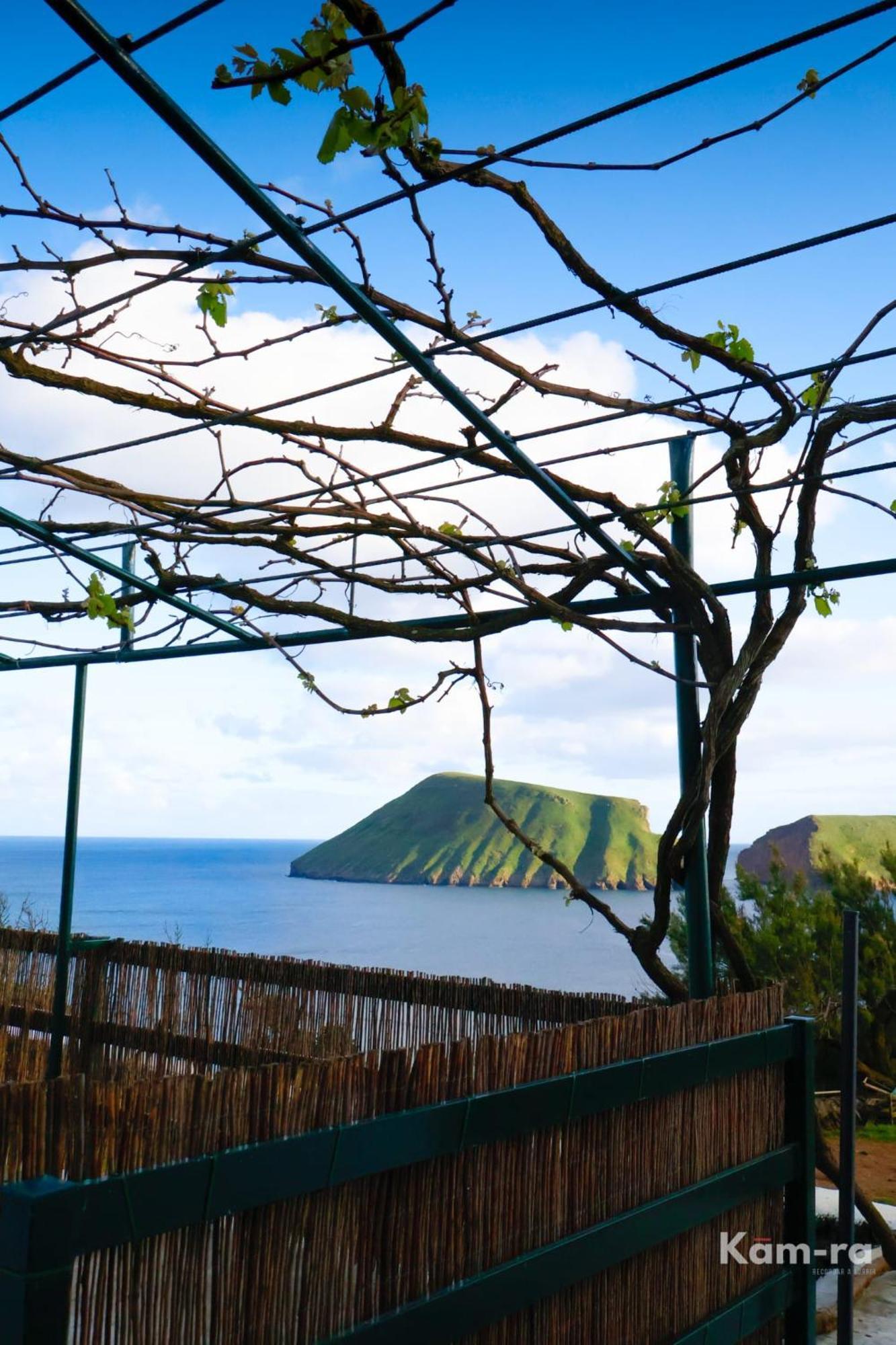 Villa Casa Da Avo Couta à Angra do Heroísmo Extérieur photo